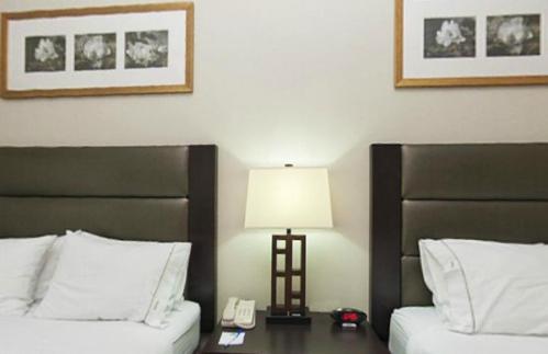 Holiday Inn Express Hotel & Suites Ottawa Airport By Ihg Rom bilde